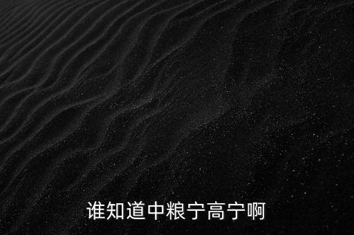 寧高寧為什么離開華潤(rùn)，誰知道中糧寧高寧啊