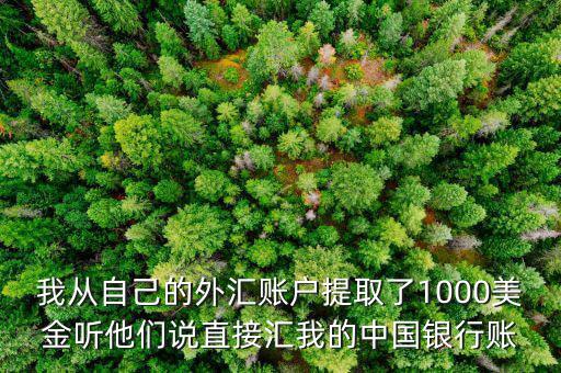 我從自己的外匯賬戶提取了1000美金聽(tīng)他們說(shuō)直接匯我的中國(guó)銀行賬