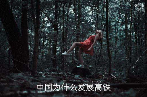 中國(guó)為什么大力發(fā)展高鐵，中國(guó)為什么發(fā)展高鐵