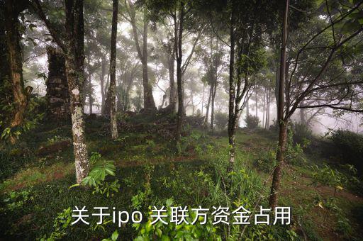什么是關(guān)聯(lián)方資金占用，關(guān)于ipo 關(guān)聯(lián)方資金占用