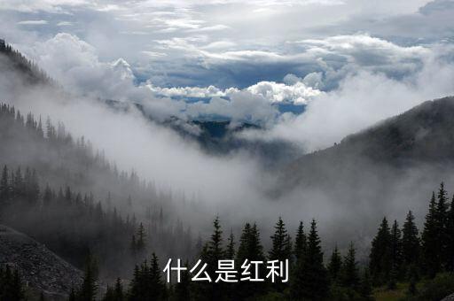 什么是全球化紅利，紅利是指什么意思