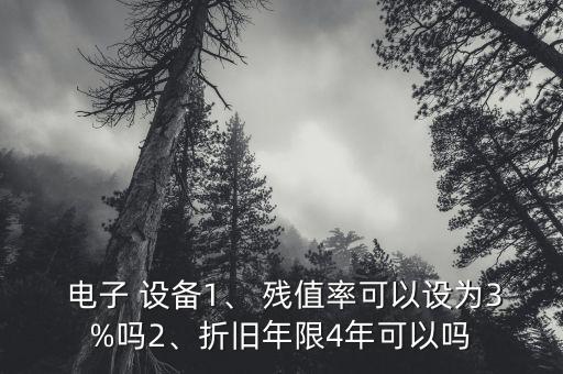 電子 設(shè)備1、 殘值率可以設(shè)為3%嗎2、折舊年限4年可以嗎