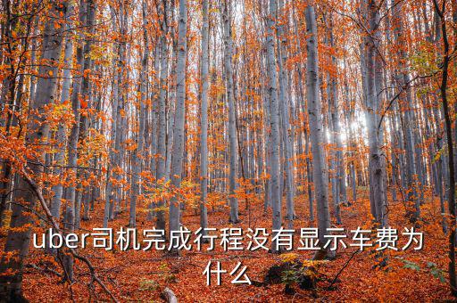uber為什么不顯示價格，優(yōu)步叫車前看不到價格