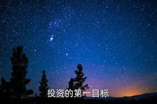 投資目標是什么，企業(yè)投資戰(zhàn)略收益性目標有哪些