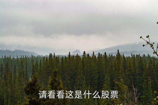 993961是什么股票，請看看這是什么股票