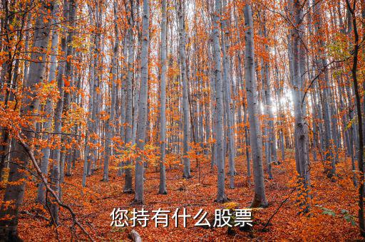 張正委持有什么的股票，香港中央代理人持有哪些股票