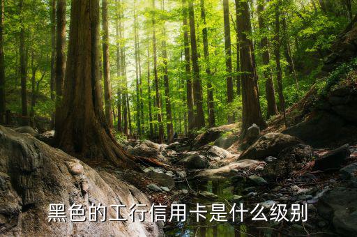 工商銀行的黑卡有什么權(quán)限，工行是不是出了一款運(yùn)通黑卡啊我想問的是想申請運(yùn)通黑卡要在當(dāng)?shù)?/></a></span><span id=