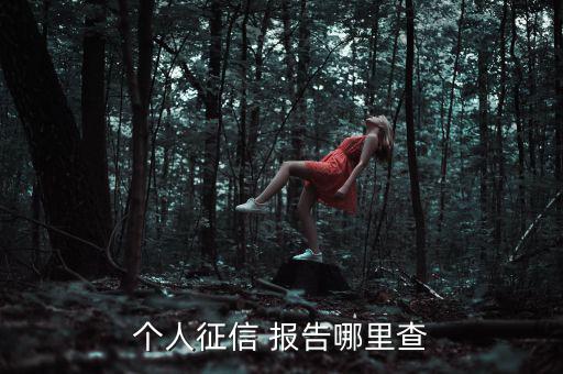 個(gè)人信用報(bào)告怎么查,三大信用報(bào)告免費(fèi)查詢(xún)服務(wù)