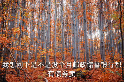 什么時(shí)候銀行承銷債券，政策性金融債承銷分銷流程