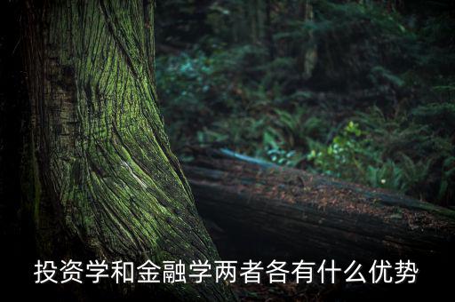 投資學有什么用，投資學和稅務(wù)學專業(yè)各自具體是學什么的以后就業(yè)前景及方