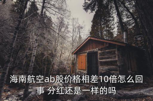 海航b股是什么意思，海南航空ab股價格相差10倍怎么回事 分紅還是一樣的嗎