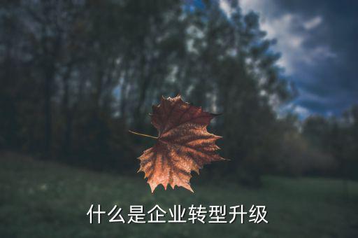 什么叫轉(zhuǎn)型升級(jí)，什么是企業(yè)轉(zhuǎn)型升級(jí)