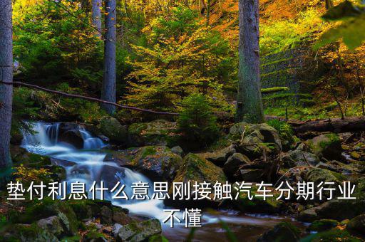 墊付利息是什么意思，紅利保險(xiǎn)會(huì)自動(dòng)墊付期間會(huì)出利息
