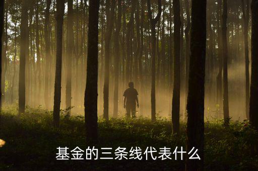 基金滬深兩條線是什么意思，這基金的幾條線分別代表什么意思