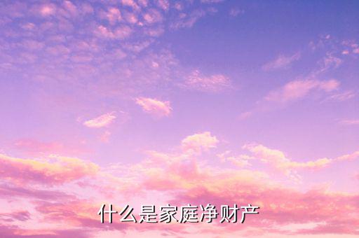 什么是家庭凈資產(chǎn)，什么是家庭凈財產(chǎn)