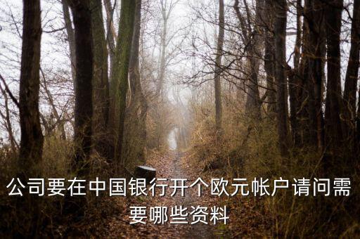 公司要在中國(guó)銀行開個(gè)歐元帳戶請(qǐng)問需要哪些資料