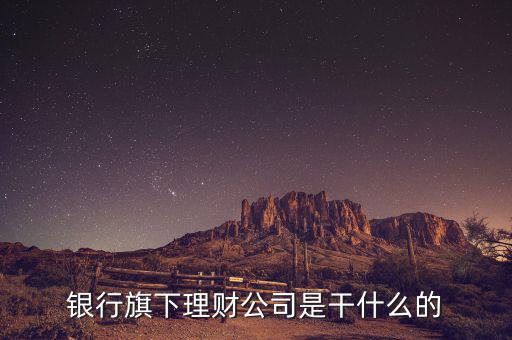 理財公司經主要做什么，理財經理是一般做什么
