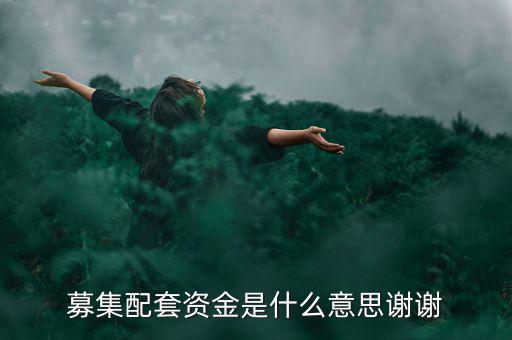 配股募資是什么意思，配股是什么意思啊
