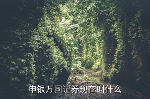 申銀萬國并什么證券公司了，申銀萬國證券現在叫什么