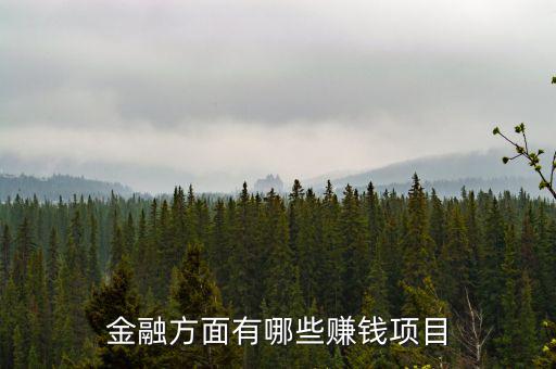 金融里什么賺錢，金融方面有哪些賺錢項(xiàng)目