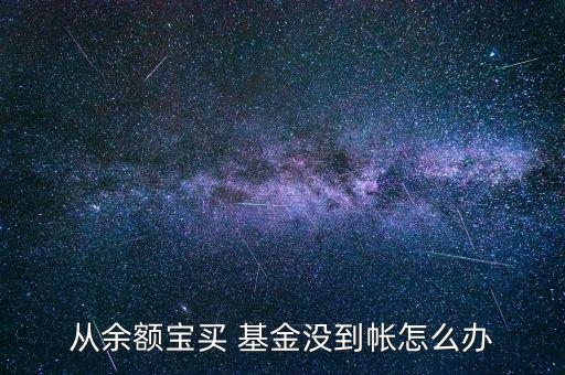 買(mǎi)基金錢(qián)怎么沒(méi)了,建議你開(kāi)一張建行卡開(kāi)通網(wǎng)上銀行購(gòu)買(mǎi)基金