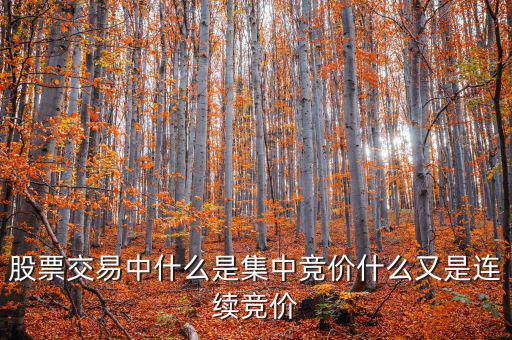 集合競價(jià)是什么意思，股票交易中什么是集中競價(jià)什么又是連續(xù)競價(jià)