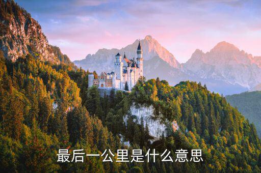 服務(wù)納稅人 最后一公里 是什么意思，最后一公里服務(wù)商指的是什么