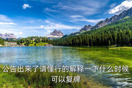 公告出來了請懂行的解釋一下什么時候可以復(fù)牌
