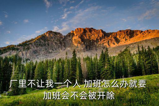 廠里不讓我一個(gè)人 加班怎么辦就要 加班會(huì)不會(huì)被開(kāi)除