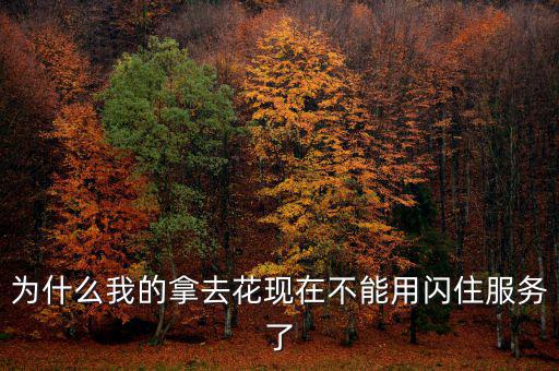 為什么我的拿去花現在不能用閃住服務了