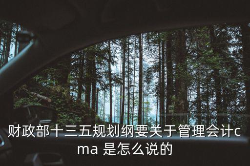 財(cái)政部十三五規(guī)劃綱要關(guān)于管理會(huì)計(jì)cma 是怎么說(shuō)的