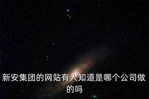 新安股份做什么的，新安集團(tuán)的網(wǎng)站有人知道是哪個(gè)公司做的嗎