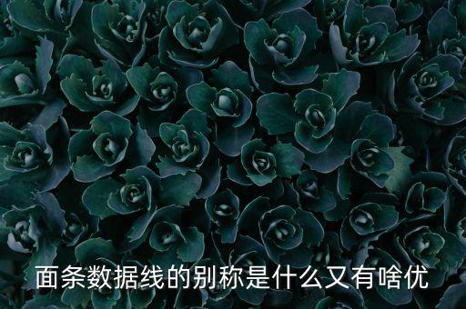 skewrons是什么牌子，skewrons是什么意思
