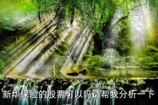 新華保險為什么股票漲這么多，新華保險的股票可以嗎請幫我分析一下