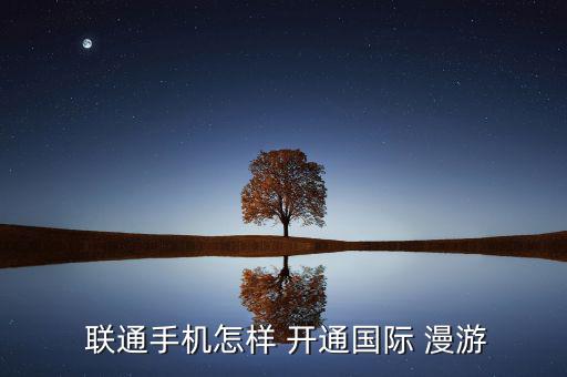  聯(lián)通手機(jī)怎樣 開通國(guó)際 漫游