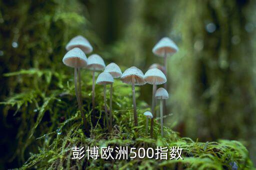 彭博商品指數(shù)是什么，彭博歐洲500指數(shù)