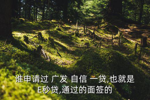 誰(shuí)申請(qǐng)過 廣發(fā) 自信 一貸,也就是E秒貸,通過的面簽的