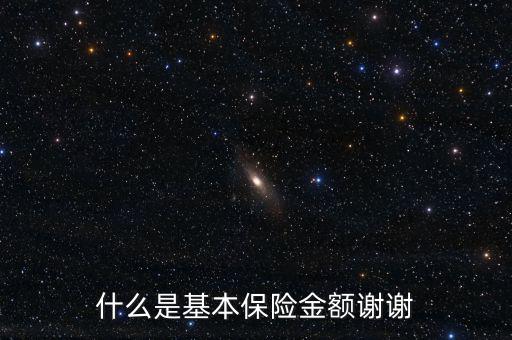 什么叫基本保險金額，基本保險金額是什么意思