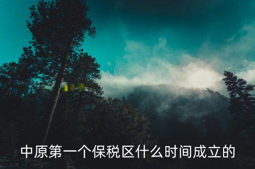 新泰保稅區(qū)什么時間投建，中原第一個保稅區(qū)什么時間成立的