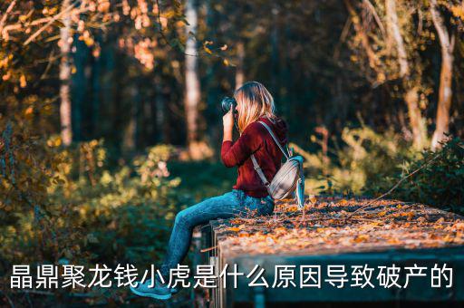 晶鼎聚龍錢(qián)小虎是什么原因?qū)е缕飘a(chǎn)的