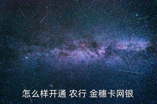 怎么樣開通 農行 金穗卡網銀