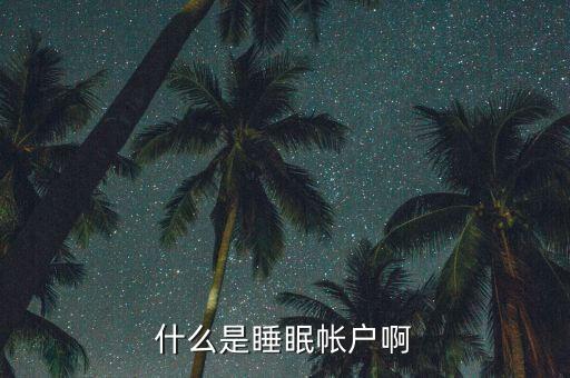 什么是睡眠賬戶，什么是睡眠帳戶啊