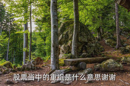 什么是重組，重組在電腦術(shù)語中什么意思