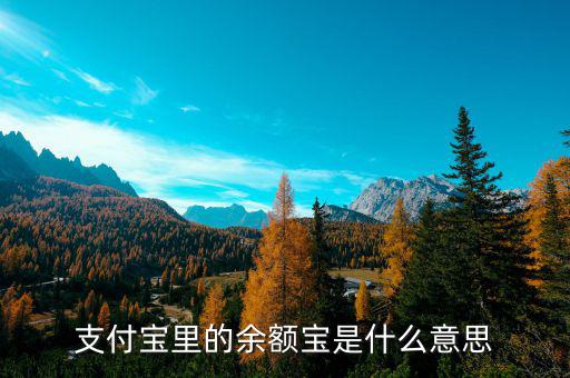 支付寶余額寶是什么，支付寶里的余額寶是什么意思
