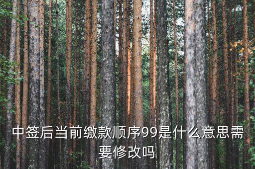繳款順序99是什么意思，99是什么意思