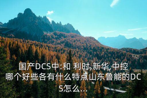 國產DCS中:和 利時,新華,中控哪個好些各有什么特點山東魯能的DCS怎么...