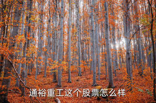 通裕重工是什么板塊，通裕重工這個股票怎么樣