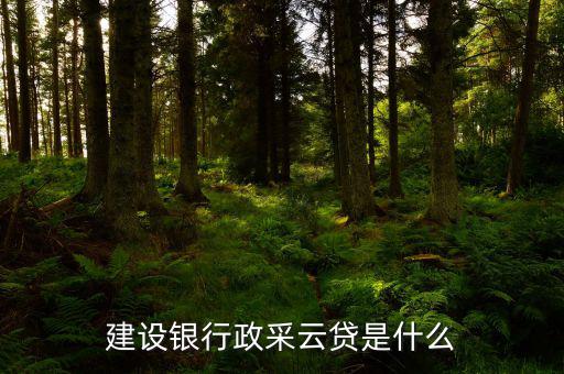 建設銀行政采云貸是什么