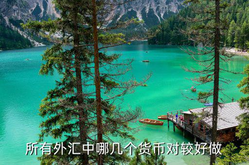 炒外匯什么貨幣對(duì)最賺錢(qián)，炒外匯選擇哪個(gè)貨幣對(duì)容易獲利