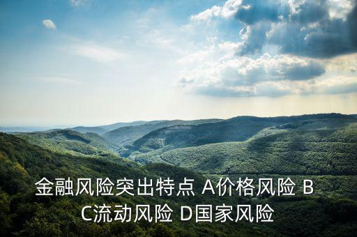 金融風(fēng)險有什么特征，試述國際金融風(fēng)險的特征
